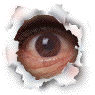 0209.gif (13609 bytes)