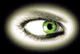0210.gif (18560 bytes)