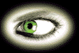 0211.gif (17121 bytes)