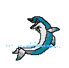 dolphin.gif (10644 bytes)