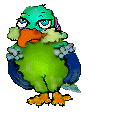 parrot.gif (36621 bytes)